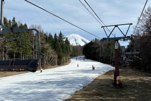 Tokyo: Ski or Snowboard Day Trip