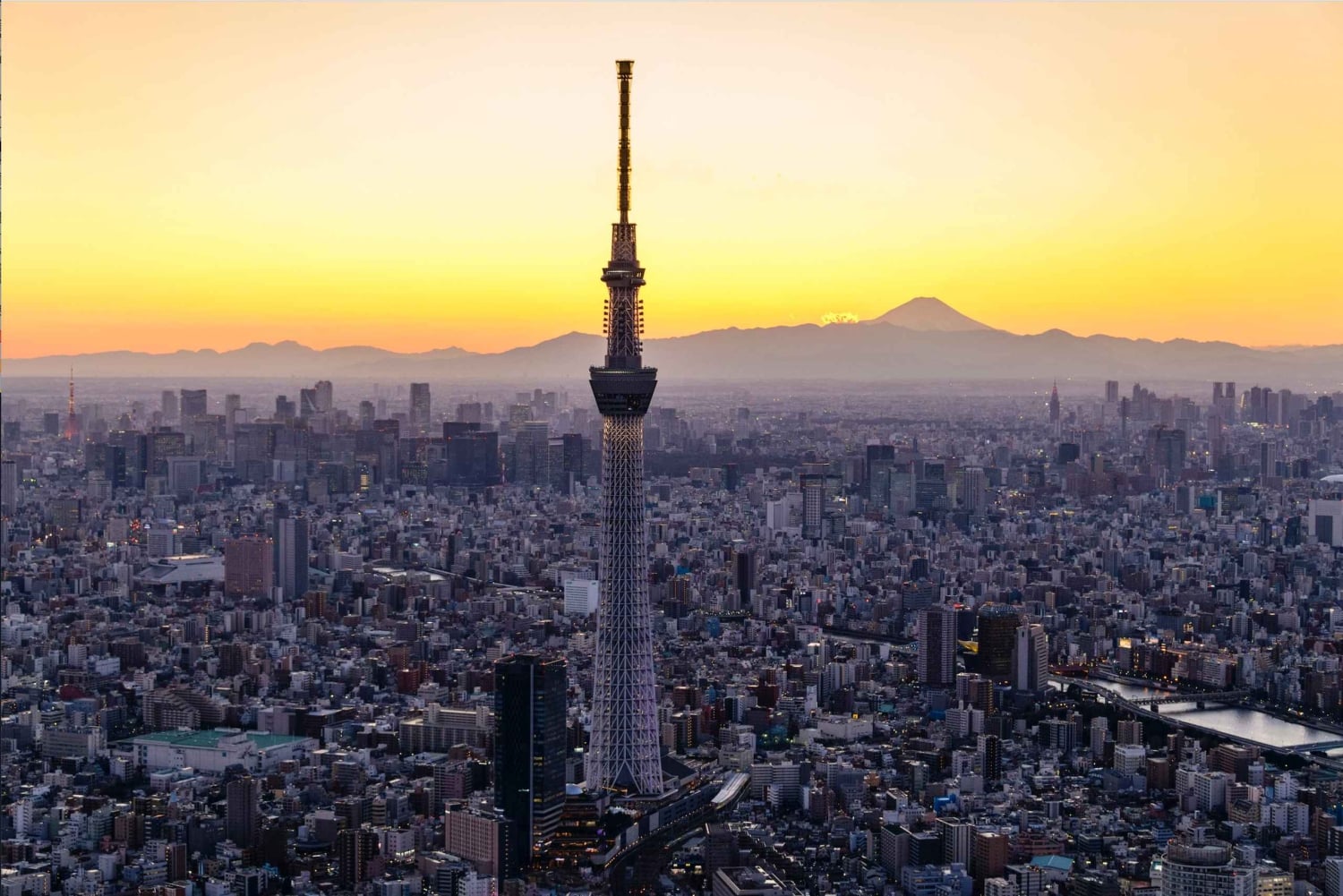 Tokyo Skytree: входной билет с проездным на 24 часа в метро