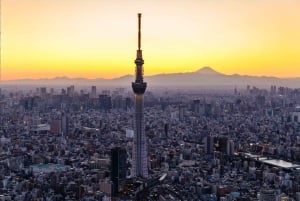 Tokyo Skytree: toegangsbewijs met 24-uurs metropas