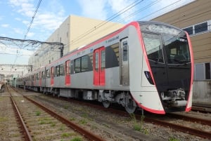 Tokyo Skytree: toegangsbewijs met 24-uurs metropas