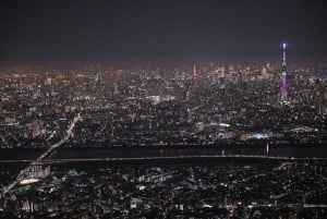 Tokyo: Skytree and Tokyo Tower Helicopter Tour
