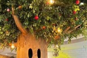 Tokio: turniej sumo: wycieczka z przewodnikiem + bilet i przydzielone miejsce