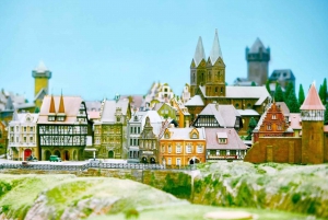 Tokyo Disneyland: bilet wstępu 1-dniowy i prywatny transfer z hotelu