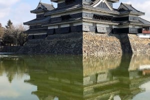 Tokio: tour privado personalizable de un día para ver monos de nieve y Nagano