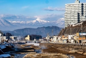 Tokio: tour privado personalizable de un día para ver monos de nieve y Nagano