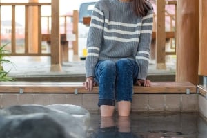 Tokio: tour privado personalizable de un día para ver monos de nieve y Nagano