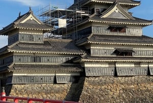 Tokio: tour privado personalizable de un día para ver monos de nieve y Nagano