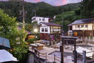 Tokio: tour privado personalizable de un día para ver monos de nieve y Nagano