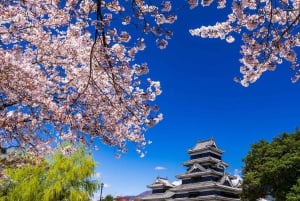 Tokio: tour privado personalizable de un día para ver monos de nieve y Nagano