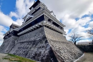 Tokio: tour privado personalizable de un día para ver monos de nieve y Nagano
