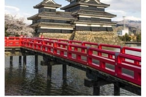 Nagano Tokio: Snow Monkey private Tour mit Abholung und Rückfahrt vom Hotel