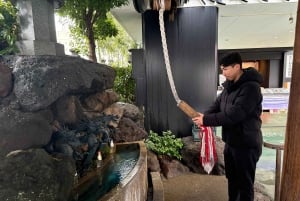 Poranna wycieczka po Tokio: świątynia Meiji, Asakusa i targ rybny