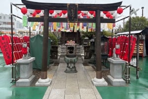 Poranna wycieczka po Tokio: świątynia Meiji, Asakusa i targ rybny