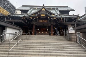 Poranna wycieczka po Tokio: świątynia Meiji, Asakusa i targ rybny