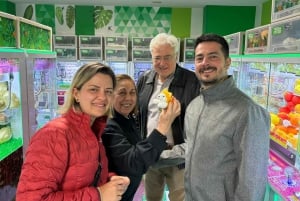 Poranna wycieczka po Tokio: świątynia Meiji, Asakusa i targ rybny