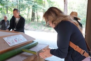 Poranna wycieczka po Tokio: świątynia Meiji, Asakusa i targ rybny