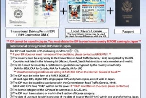 Shibuya: Tokyo Street Go-Kart Tour by Shibuya Annex