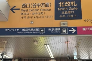 Tokyo: Spasertur i den gamle tradisjonelle bydelen ~ Yanaka & Nezu