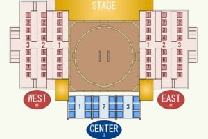 Tokyo Sumo-oplevelse: Chanko og mochi med en tidligere professionel