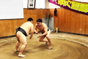 Tokio: Sumo Experience z pokazem na żywo i wyzwaniem dla publiczności