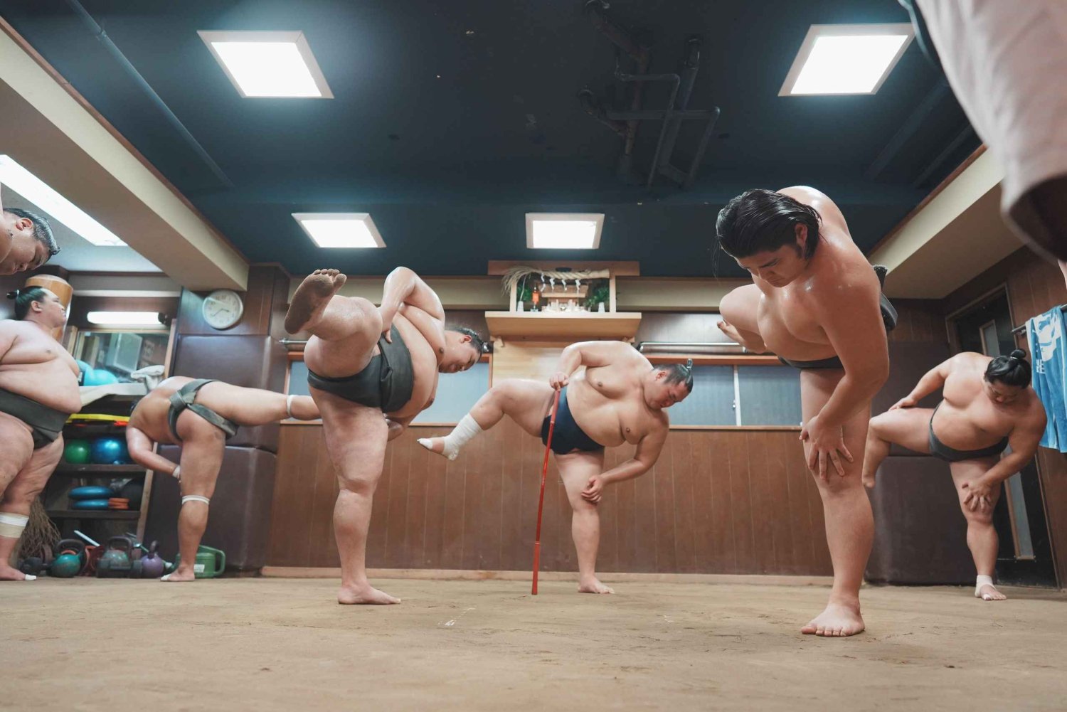 Tokyo : visite guidée de l'entraînement de sumo avec audioguide et photo