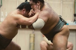 Sumo-ochtendtraining in Tokio / Sumo-training met worstelaars