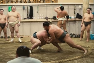 Sumo-ochtendtraining in Tokio / Sumo-training met worstelaars