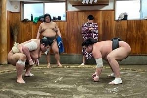 Sumo-ochtendtraining in Tokio / Sumo-training met worstelaars