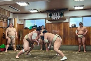 Sumo-ochtendtraining in Tokio / Sumo-training met worstelaars