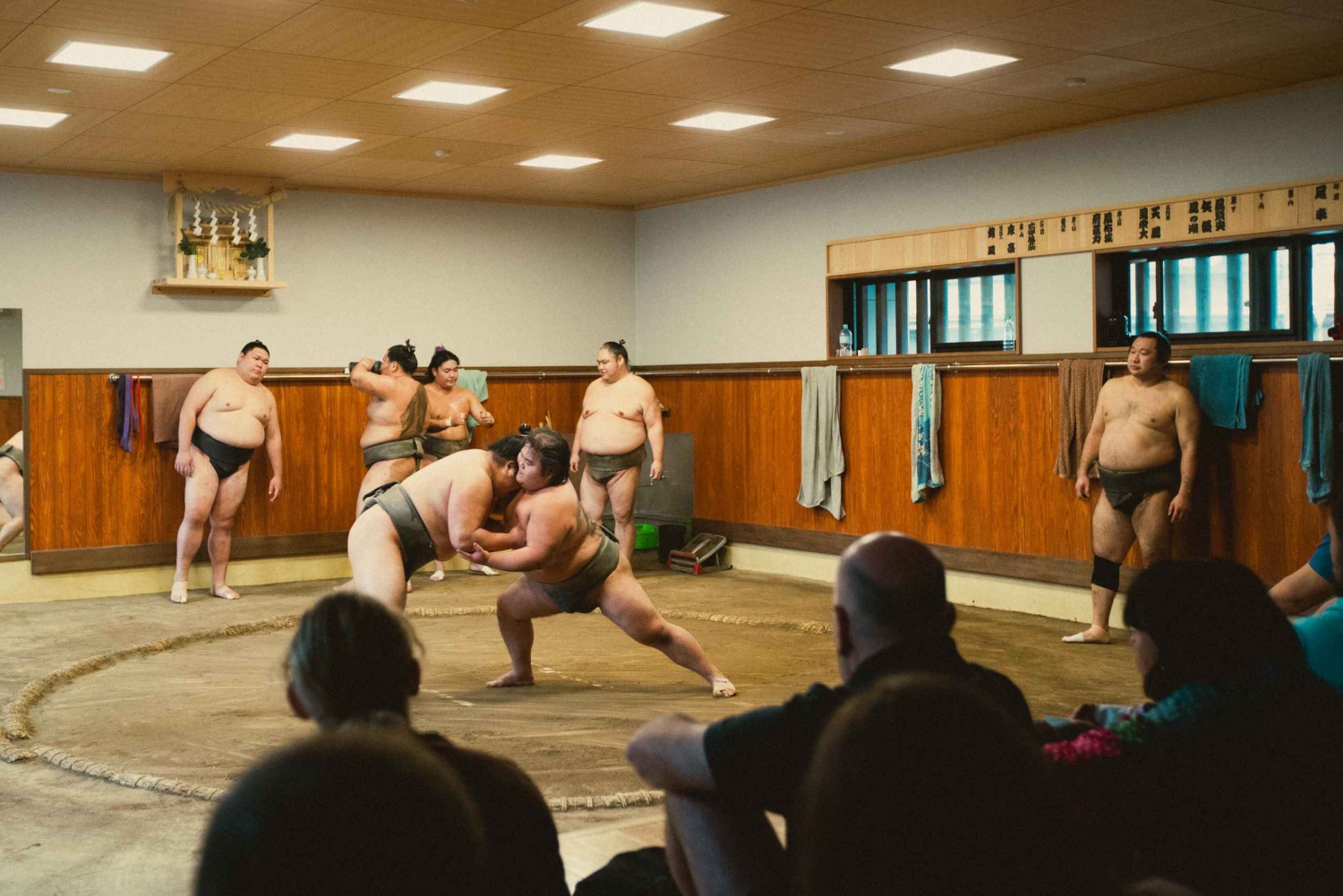 Tokio: Sumo-Morgen-Trainingstour in Sumida City