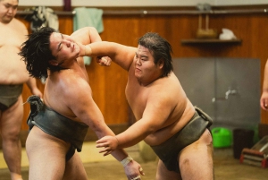 Tokyo: Sumo Morning Practice Tour at Sumida City