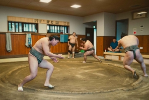 Tokyo: Sumo Morning Practice Tour at Sumida City