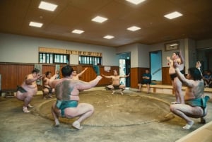 Tokio: Sumo-Morgen-Trainingstour in Sumida City