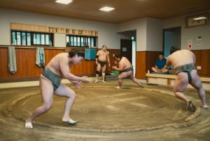 Tokio: Sumo-Morgen-Trainingstour in Sumida City