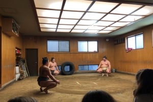Tokio: Poranny trening sumo w Ryogoku i sesja zdjęciowa