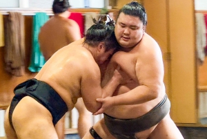 Tokyo: Tour degli allenamenti mattutini di sumo con un reporter esperto