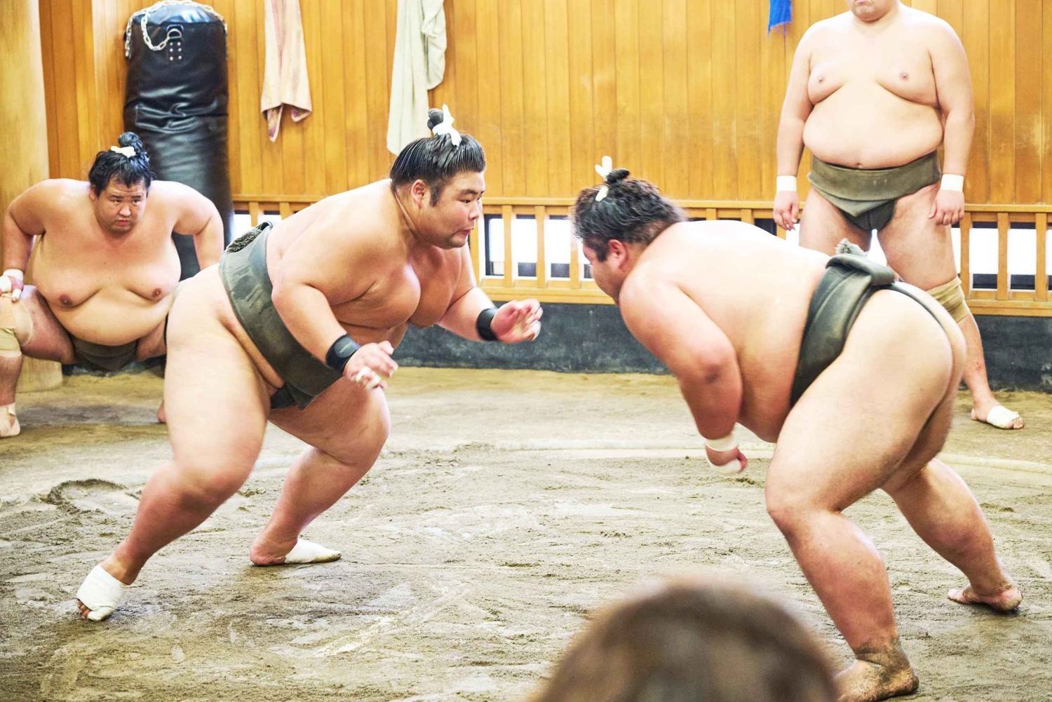 Tokyo: tour per assistere all'allenamento mattutino di sumo in una vera scuderia