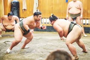 Tokyo: tour per assistere all'allenamento mattutino di sumo in una vera scuderia