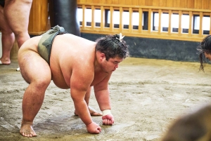 Tokyo: tour per assistere all'allenamento mattutino di sumo in una vera scuderia