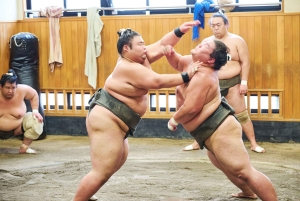Tokyo: tour per assistere all'allenamento mattutino di sumo in una vera scuderia