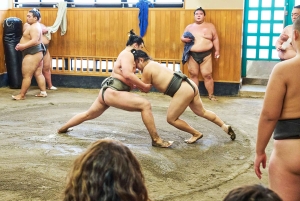 Tokyo: tour per assistere all'allenamento mattutino di sumo in una vera scuderia