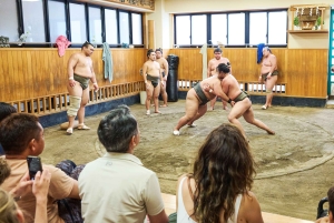 Tokyo: tour per assistere all'allenamento mattutino di sumo in una vera scuderia