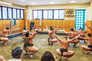 Tokyo: tour per assistere all'allenamento mattutino di sumo in una vera scuderia