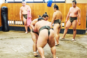 Tokyo: tour per assistere all'allenamento mattutino di sumo in una vera scuderia