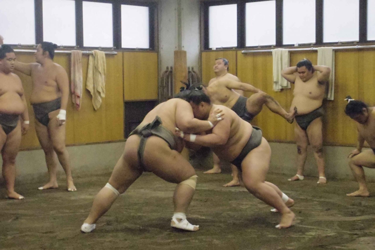 Tokyo: Sumo Morning Practice Viewing Tour