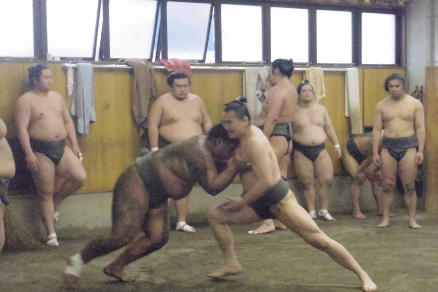 Tokio: Recorrido matinal para ver los entrenamientos de sumo