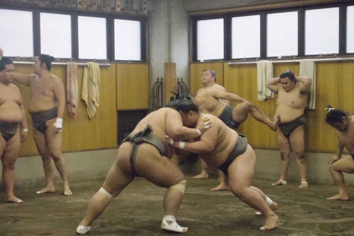 Tokio: Recorrido matinal para ver los entrenamientos de sumo