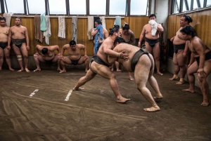 Tokyo: Sumo Morning Practice Viewing Tour