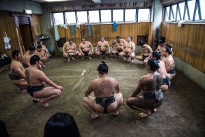 Tokyo: Sumo Morning Practice Viewing Tour