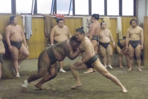 Tokyo: Sumo Morning Practice Viewing Tour